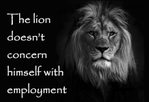 lion.png