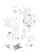 1748551140491.png
