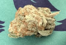 IMG_8193.jpeg