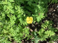 IMG_8218.jpeg