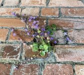 IMG_8232.jpeg