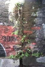 IMAG0136.jpg