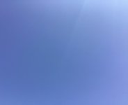 IMG_8255.jpeg