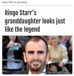 ringo.jpg