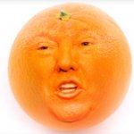 ep-5-when-the-orange-man-EnDBzFmjxty-SMJ0rUOW1sk.667x667.jpg