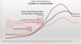 Florida vs lockdowns.jpg
