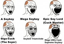 soyboys.jpeg