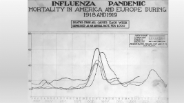 Spanish flu transmission conundrum.png