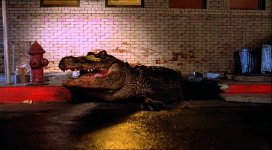 Alligator-1980.jpg