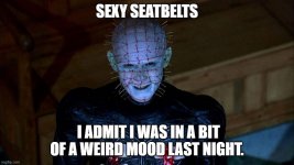 sexy_seatbelts.jpg