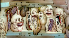 all_the_organs_of_the_body_laughing.jpeg