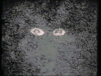 2C64629B-3C45-4A18-9872-8052A7558DC2.gif